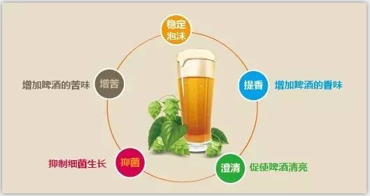 精酿啤酒设备